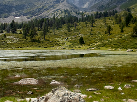 Le Canigou  Photo22.png